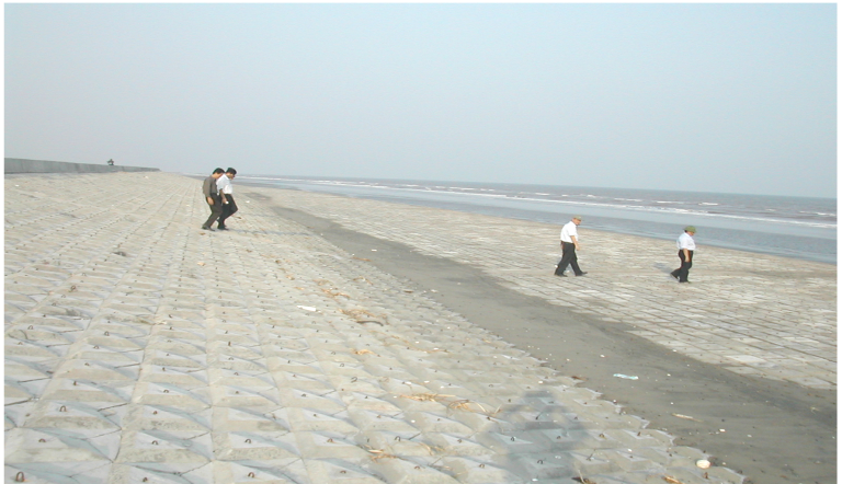 Picture5 - Copy