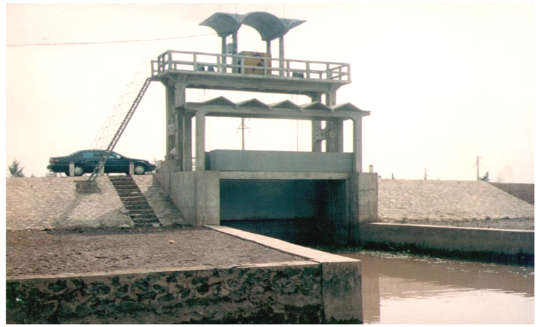 Picture6